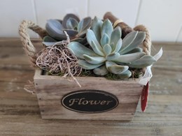 caja madera flower cactus